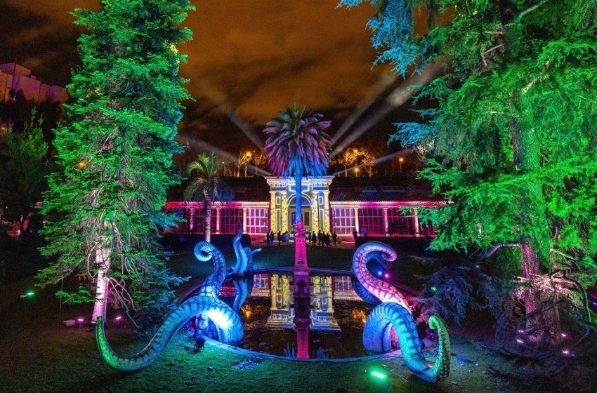  De diciembre a enero de 2024: el espectáculo de luces «Naturaleza Encendida» iluminará Bilbao esta Navidad