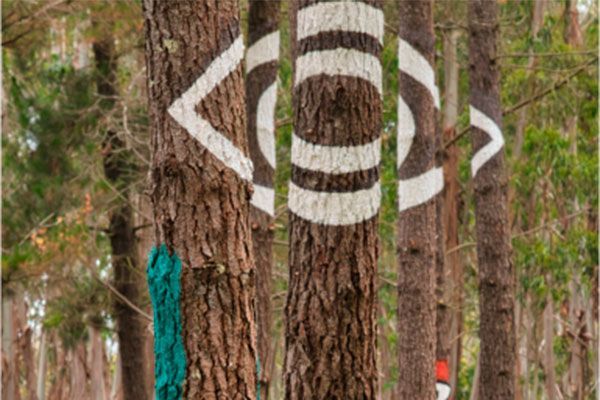  Excursiones muy chulas para hacer con niños en Euskadi a menos de una hora de Bilbao