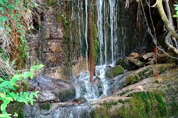  10 de diciembre de 2023: ¡adéntrate en el Valle Loiola de la mano de Ekoetzea Meatzaldea!