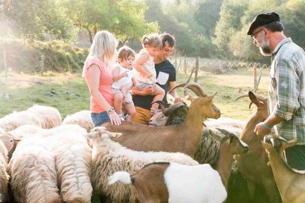  Experiencia en familia: ¿quieres ser pastor por un día?