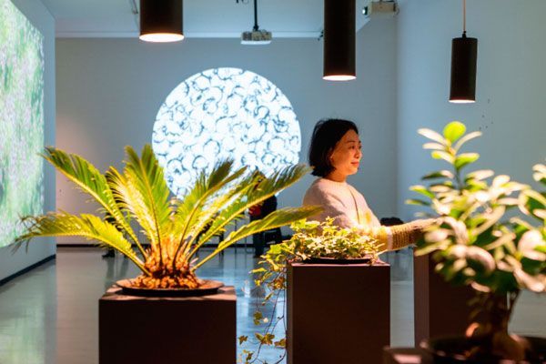  Exposición gratuita en Azkuna Zentroa: experimenta, explora e interactúa con la naturaleza a través del arte digital