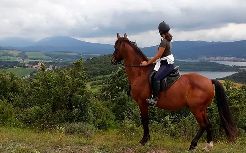  Artzentales estrena su primera feria equina con exhibiciones de Reining, Doma Western y Barrel Racing