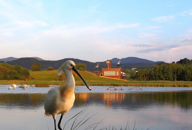  Urdaibai Bird Center crea audioguías específicas para txikis