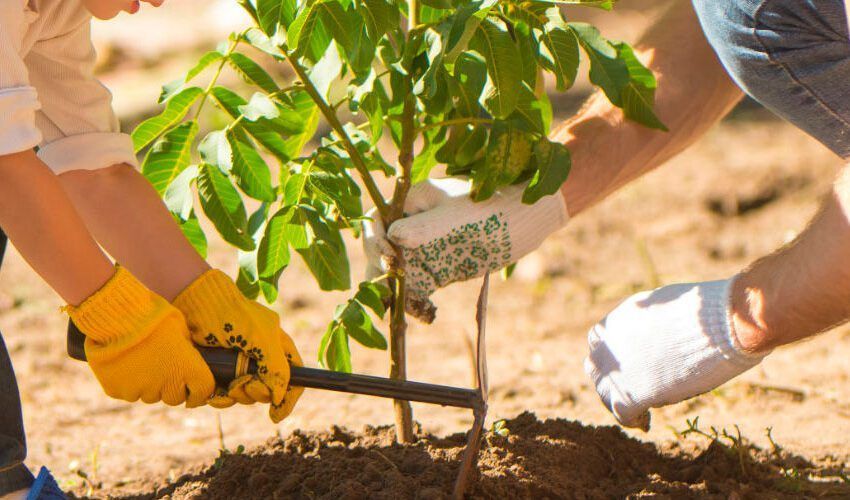  BBK Mendi Martxak: plantando futuro en Busturialdea