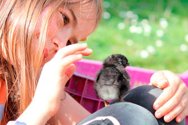  The best farms to visit with children in the Basque Country: an unforgettable family experience