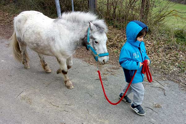  Planes para este fin de semana: ideas para hacer en familia del 15 al 17 de noviembre en Bilbao y Bizkaia