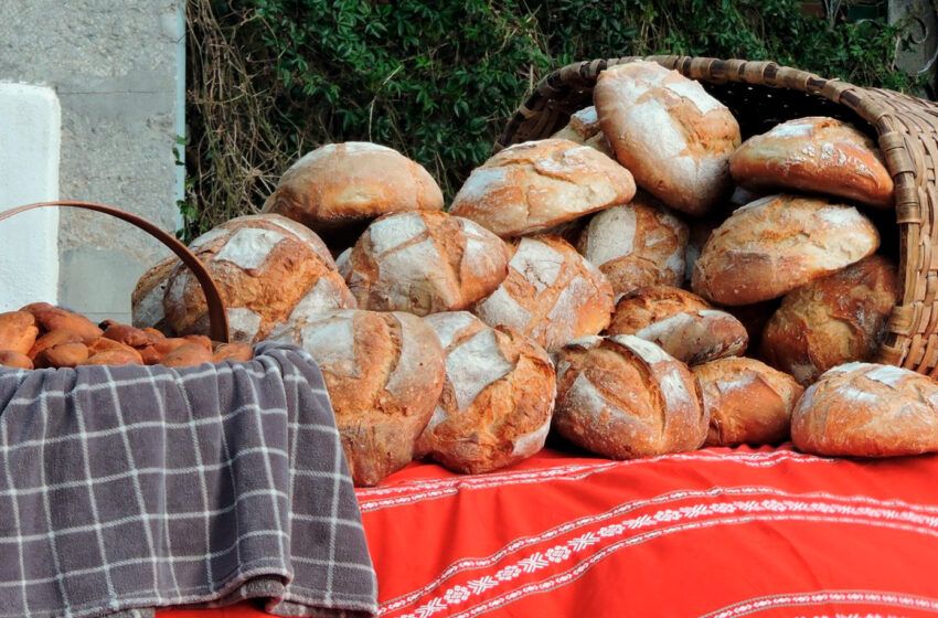  Galdames Ogi Eguna 2024: taller de pan, cuentacuentos con Mari Domingi y visita de Olentzero
