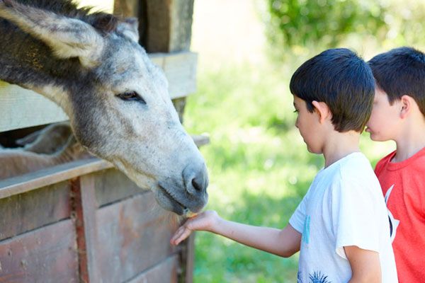  Campamentos de verano 2025 cerca de Bilbao: las mejores opciones para niñas, niños y jóvenes