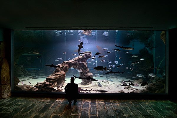  What to do in Santander with children when it rains: cultural and leisure plans for the family