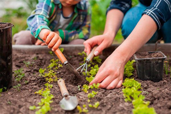 taller de jardinería para niños Bilbao