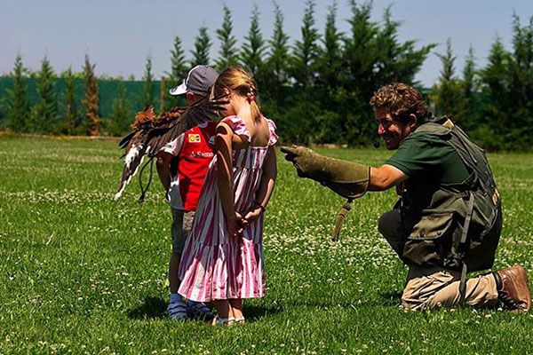  Tierra Rapaz: una experiencia inolvidable para descubrir las aves rapaces en familia