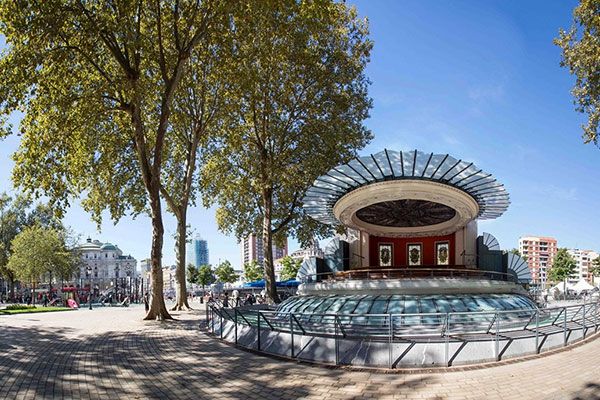  Gigantes únicos en pleno Bilbao: descubre dónde están los árboles urbanos más longevos de la Península Ibérica