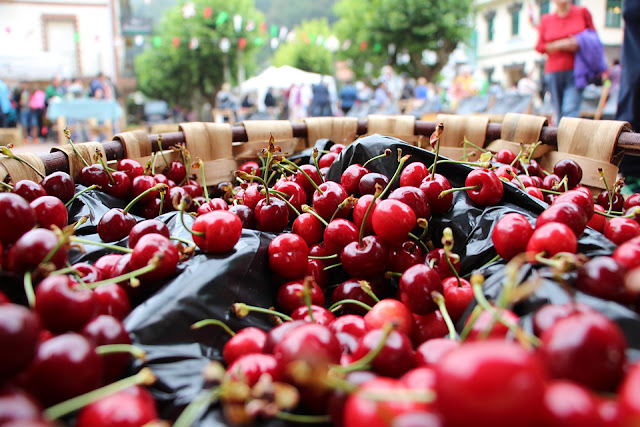  El Regato celebra su Fiesta de la Cereza: feria agrícola, gigantes y tirolina sobre el río